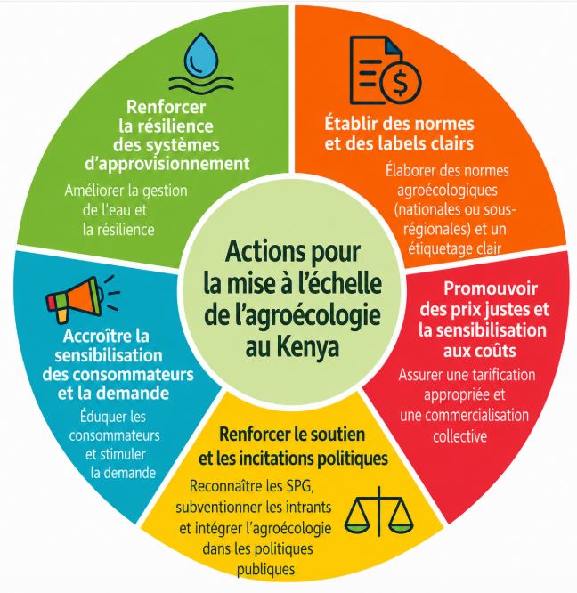 graphique