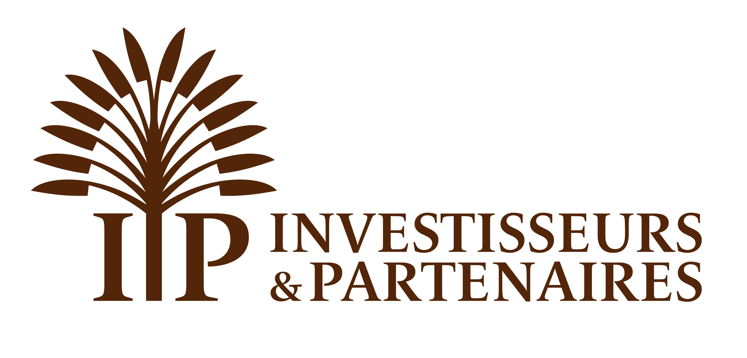 IP Logo