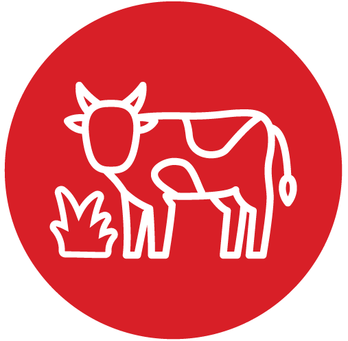 Peru - Alliance of Bioversity International - CIAT - Impact 4