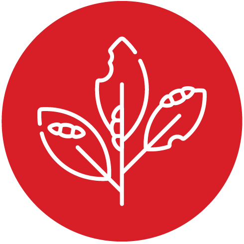 Peru - Alliance of Bioversity International - CIAT - Impact 7