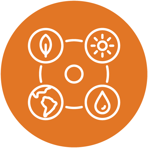 Preserving agrobiodiversity - Kenya - Alliance Bioversity International - CIAT