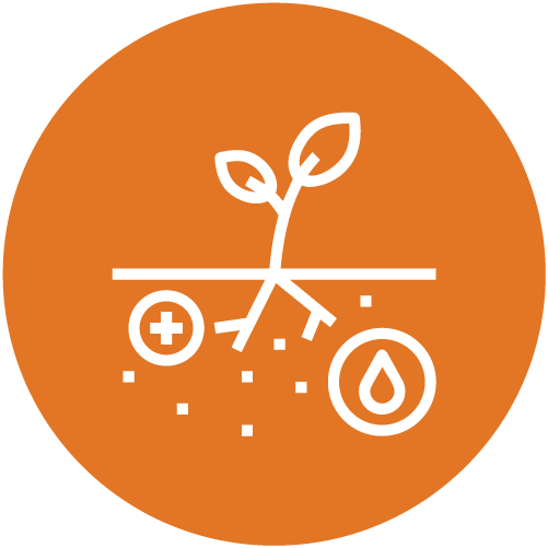 Promoting nutrient-rich crops - Kenya - Alliance Bioversity International - CIAT