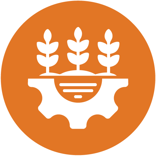 Strengthened agricultural - Democratic Republic of the Congo - Alliance of Bioversity International and CIAT