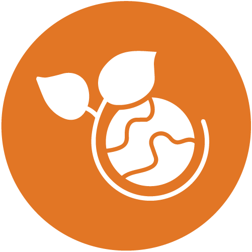 Sustainable farming practices - Democratic Republic of the Congo - Alliance of Bioversity International and CIAT