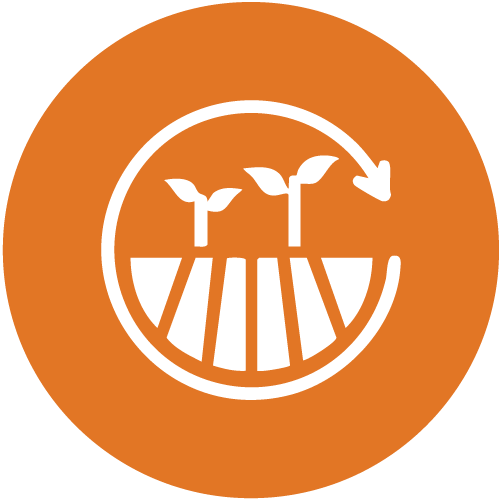 Sustainable land management and agrobiodiversity - Uganda - Alliance Bioversity International - CIAT