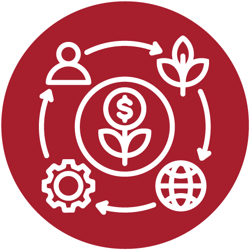 Sustainable production systems - Philippines - Alliance Bioversity International and  CIAT