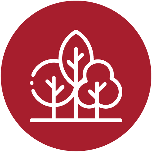 tree diversity -Nepal - Alliance Bioversity International - CIAT
