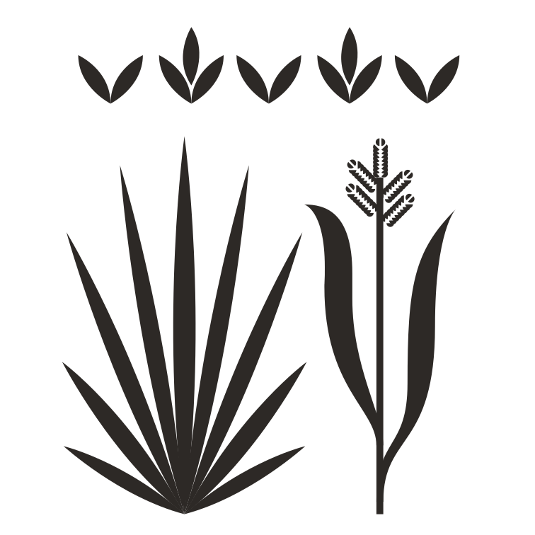 crop, tropical forages icon