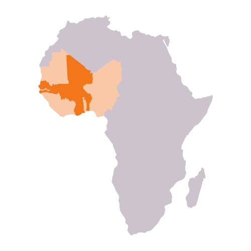 West Africa - Alliance Bioversity International - CIAT
