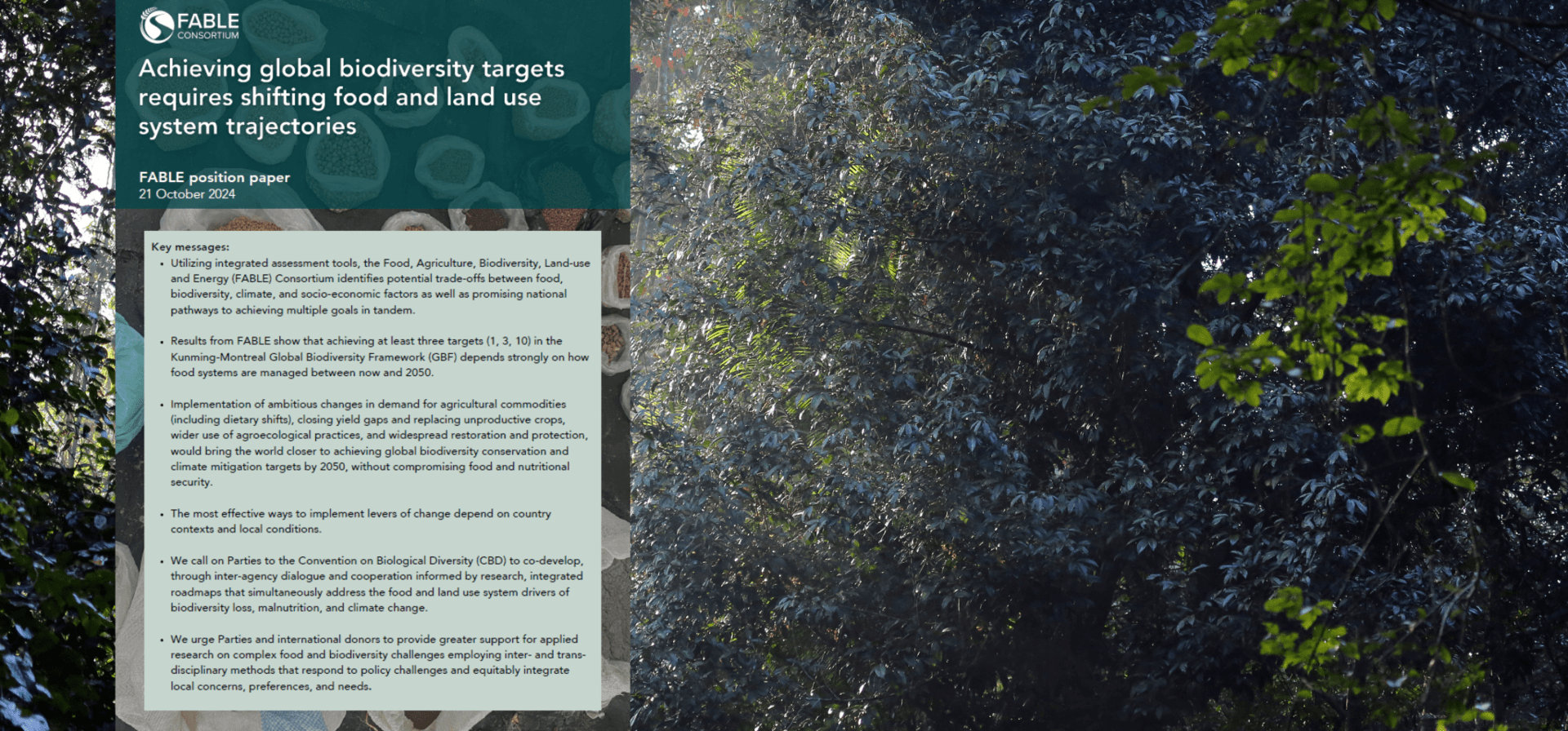 Achieving global biodiversity targets requires shifting food and land use system trajectories