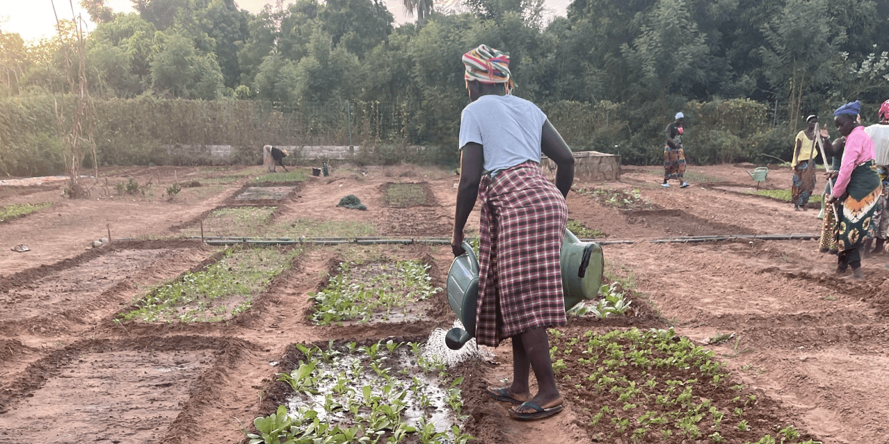 AVENIR - Alliance of Bioversity International - CIAT