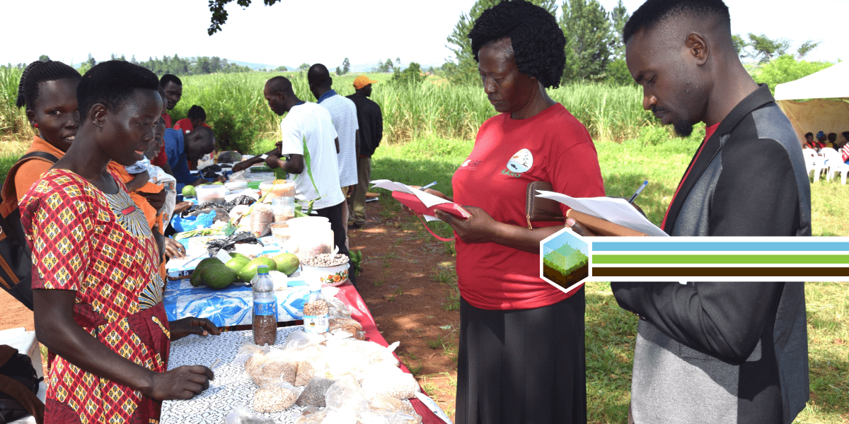 Crop diversity in a sea of sugarcane Uganda’s newest community seed bank 