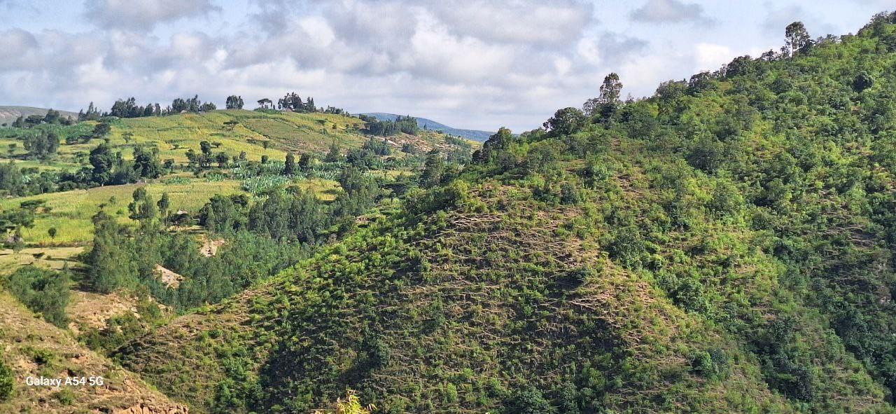 Empowering Youth and Women through Land Restoration A Grassroots Story 