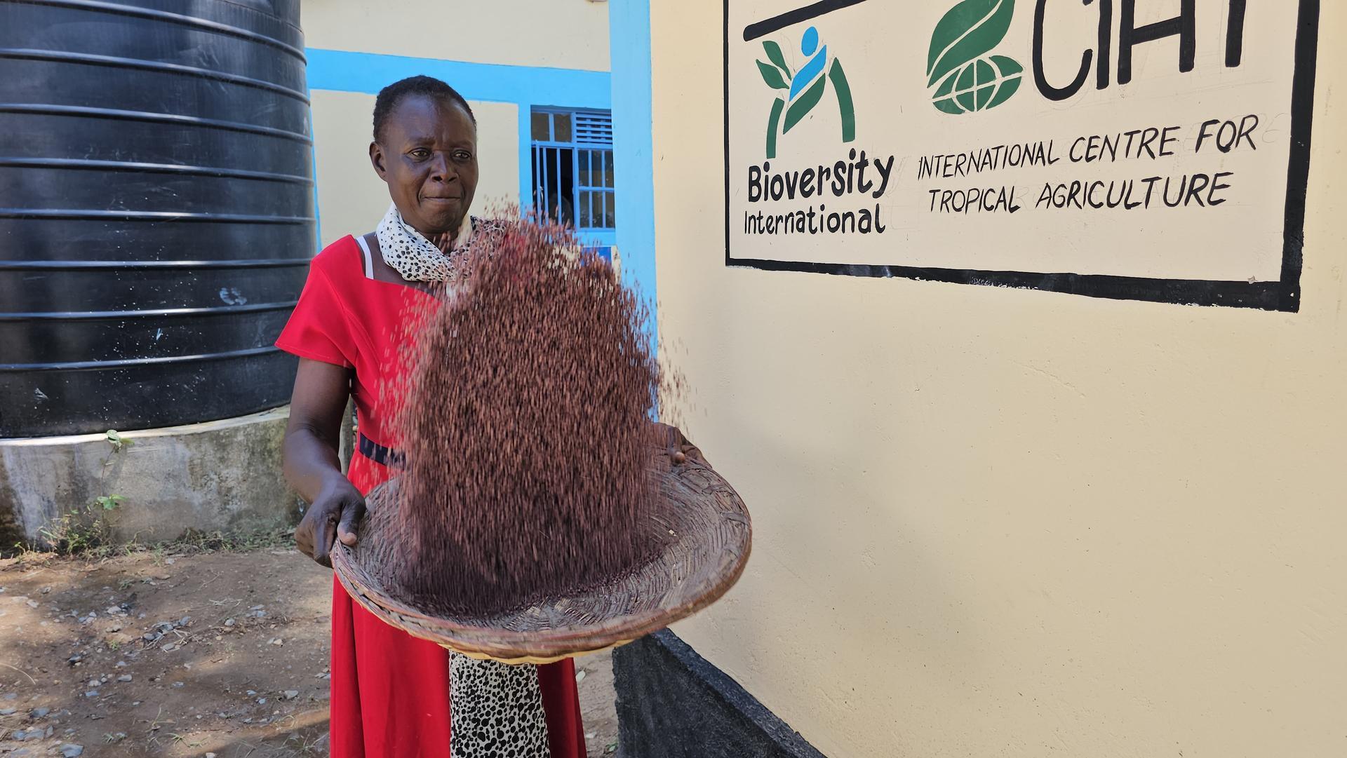 Enhancing Sustainability of Community Seed Banks through Value Addition