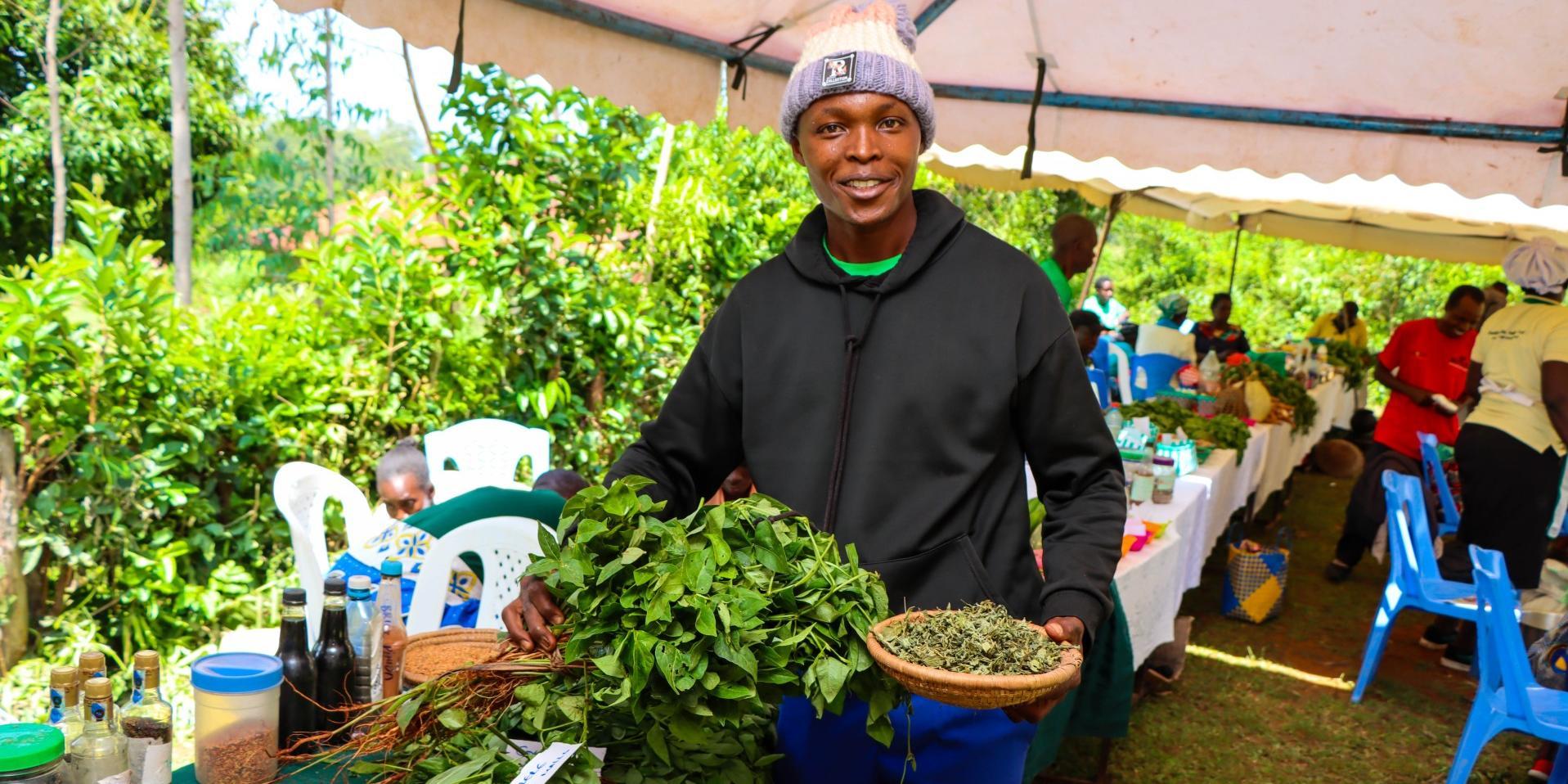 Exploring the Rich Diversity of Traditional Leafy Vegetables in Vihiga County, Kenya 