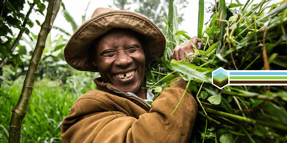 How a Climate-Credit Scoring tool is revolutionizing Agricultural Finance in Africa 