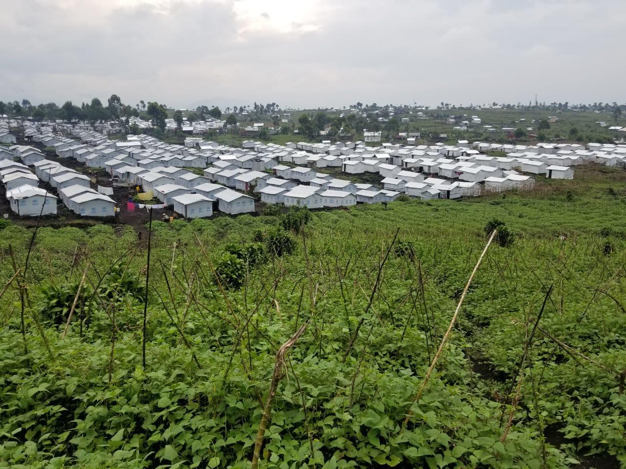 How PABRA's Support is Empowering Women Amidst Adversity in North Kivu 