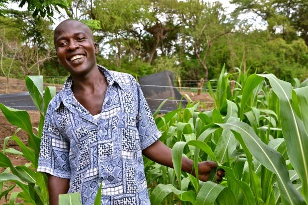 Is climate-smart agriculture the silver bullet to attract youth to agriculture?