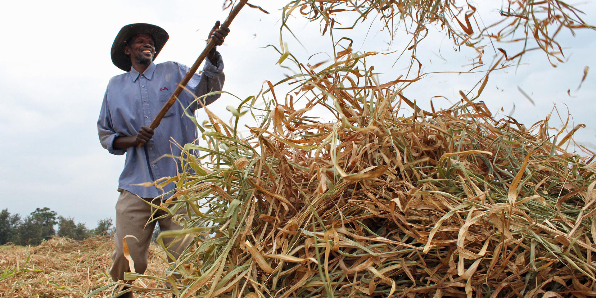 Rwanda climate-smart agriculture 