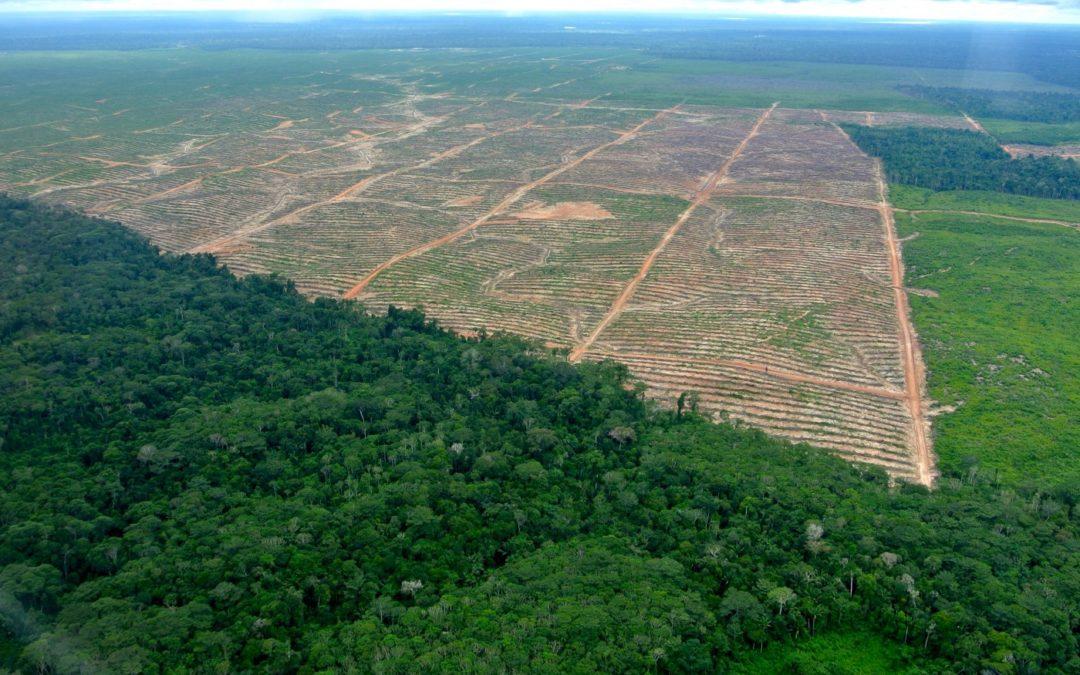 Post-COVID-19, we need a food systems approach to achieve zero-deforestation diets