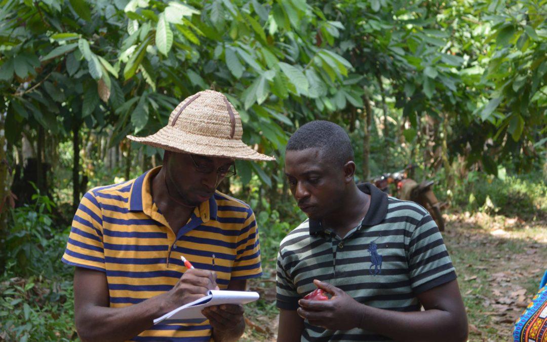 Making adaptation efforts actionable at scale towards a climate-smart cocoa sector