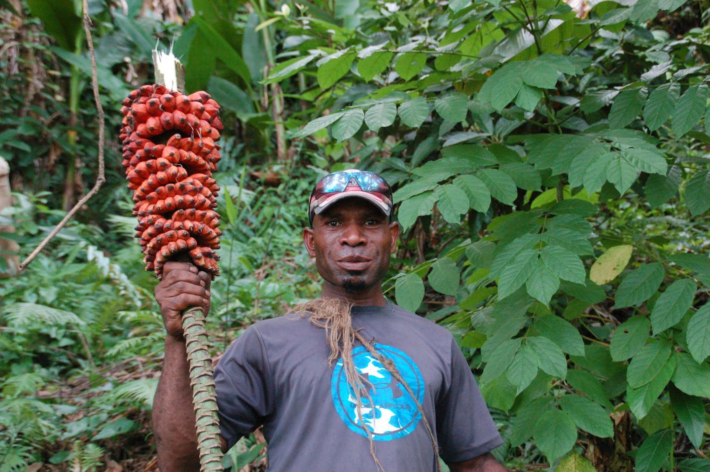 Man holding a bunch of red bananas