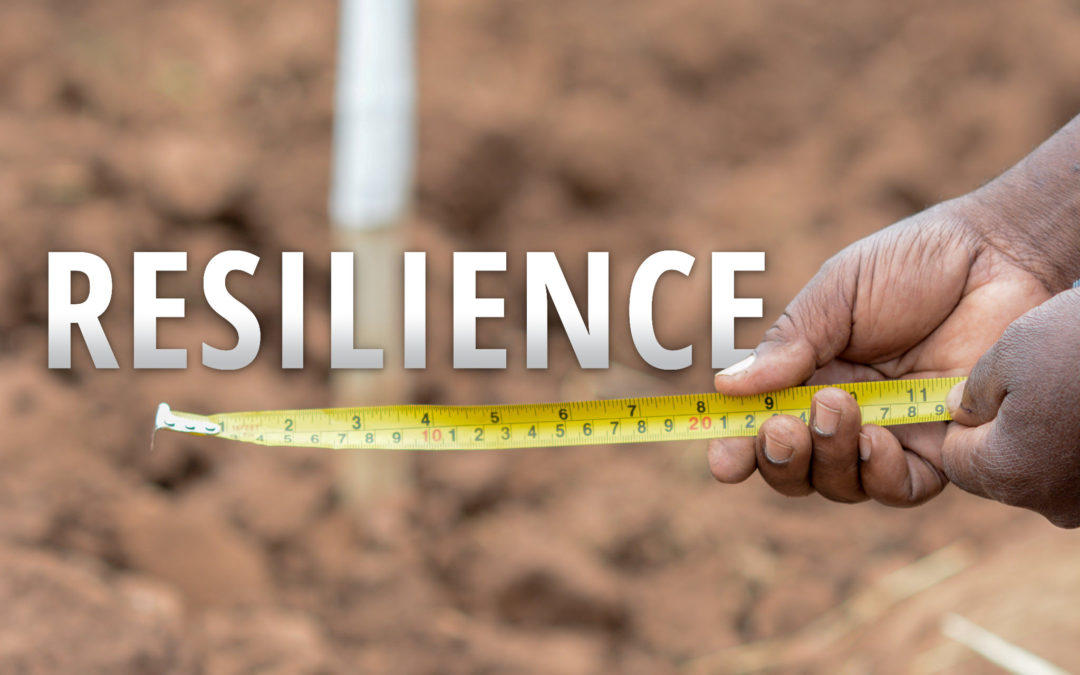Can we actually measure resilience?