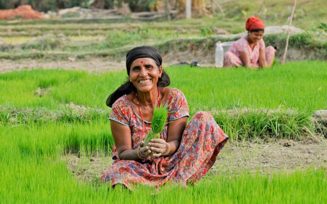 CIAT and ICAR expand partnership addressing challenges to South Asian agriculture