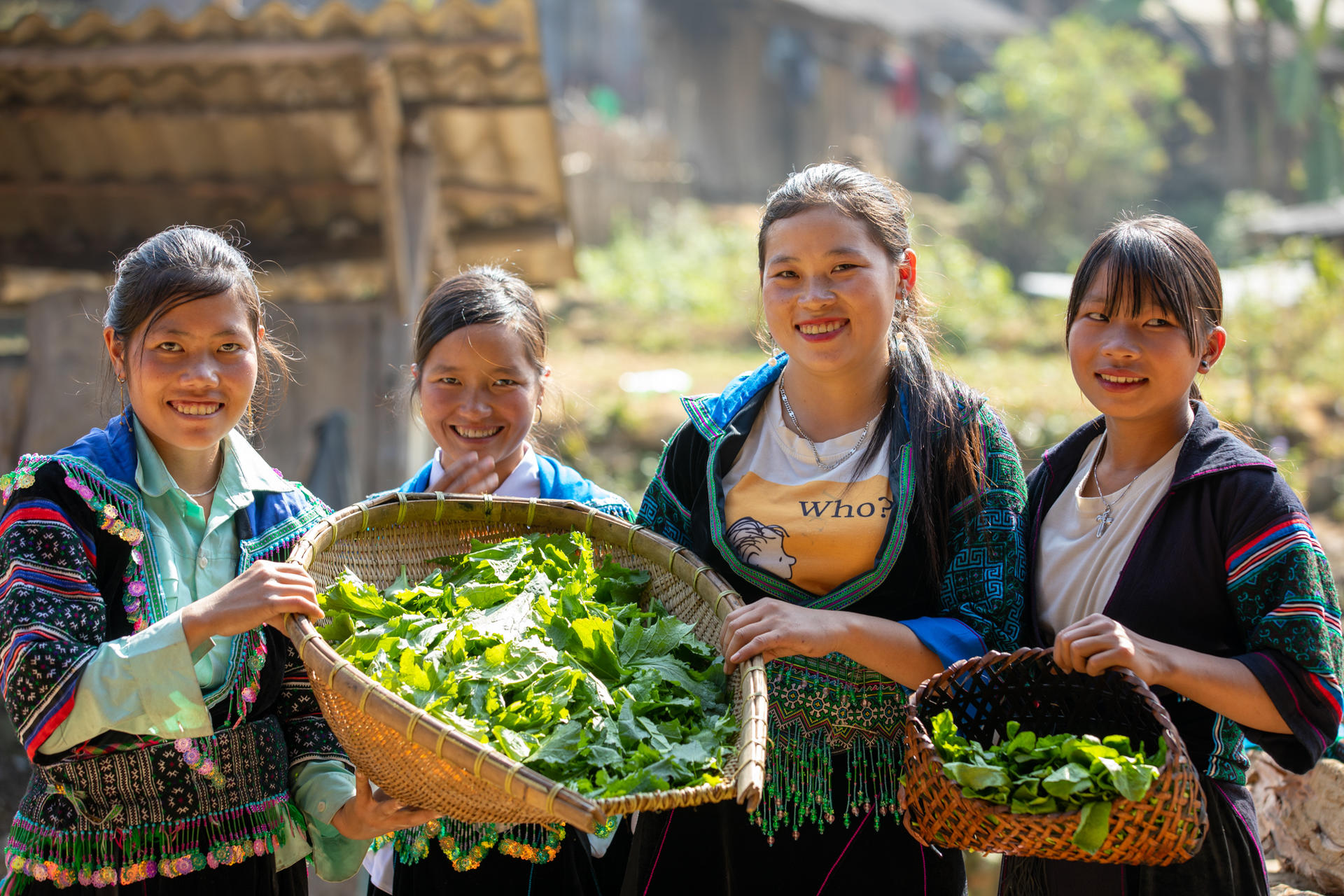 Group of Hmong women showing their harvest of mustard leaves