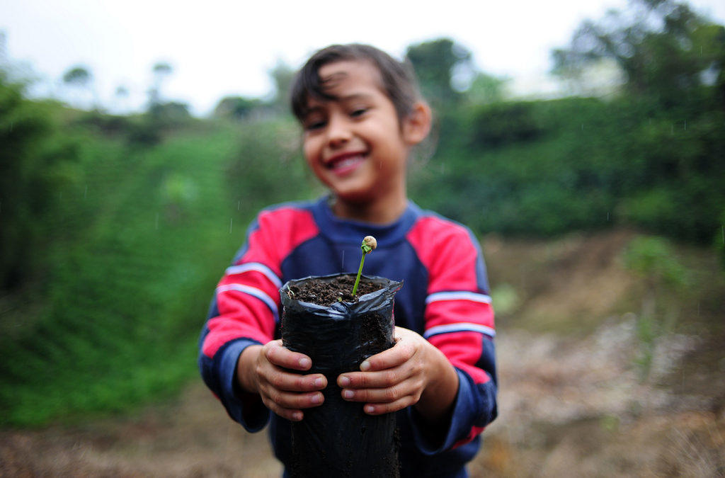 El proyecto Climate Smart Coffee está por iniciar en Guatemala y Honduras