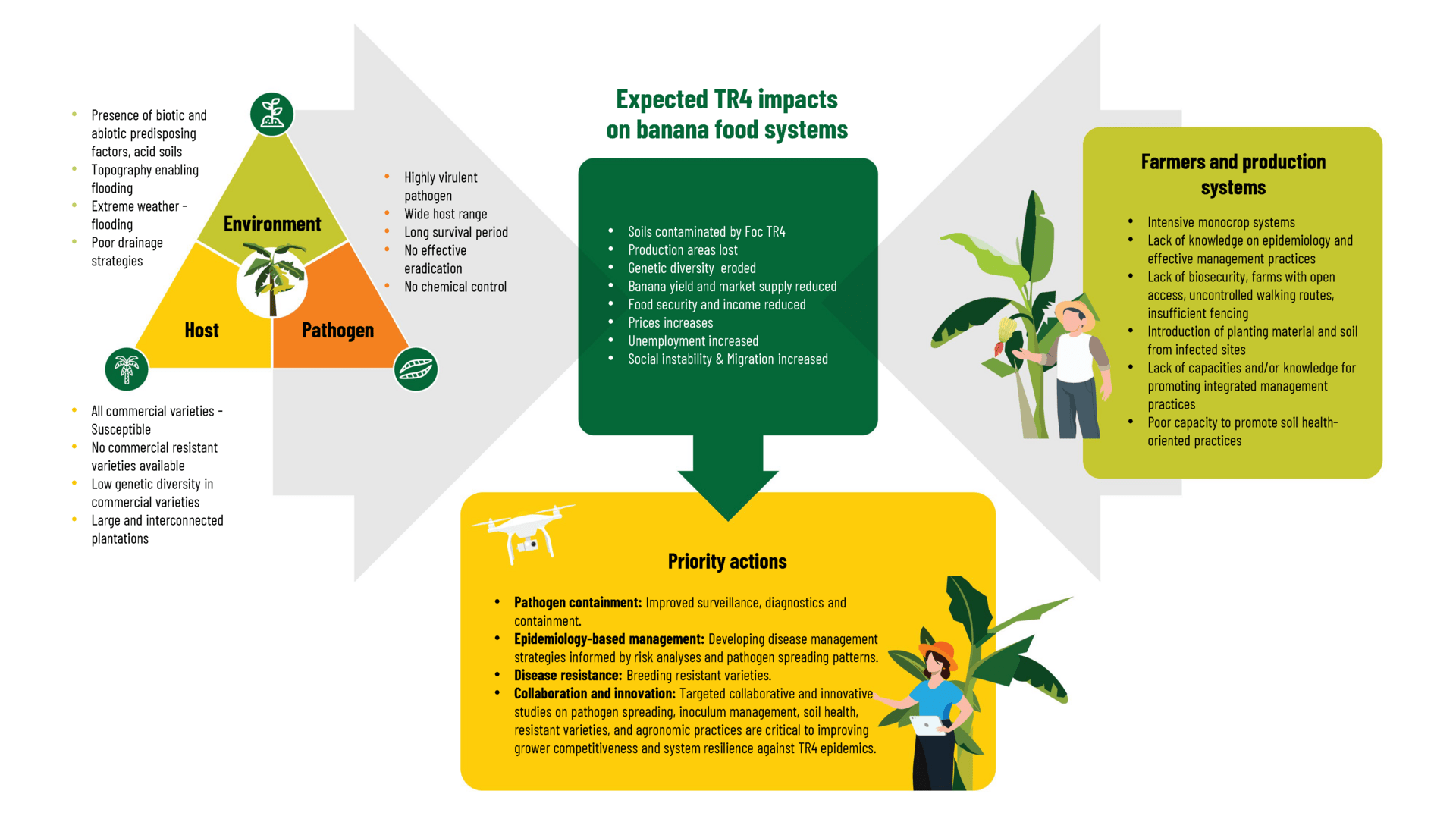 6. Scenarios and priorities for action against Foc TR4 in the banana agri-food system  - Figure 11