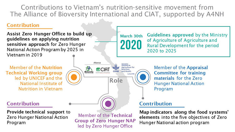 Update: Food systems for healthier diets A4NH contributions to the nutrition sensitive movement in Vietnam continue