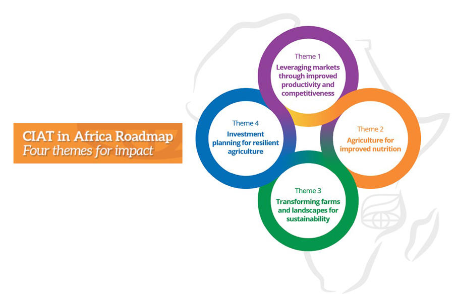 Uniting for impact: Four themes to drive agricultural progress in Africa