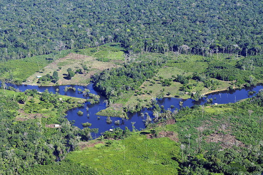 El CIAT lidera proyecto que promueve la reducción de la deforestación en la Amazonia peruana