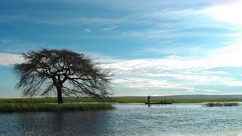 Assessing agricultural biodiversity in Borotse floodplain, Zambia