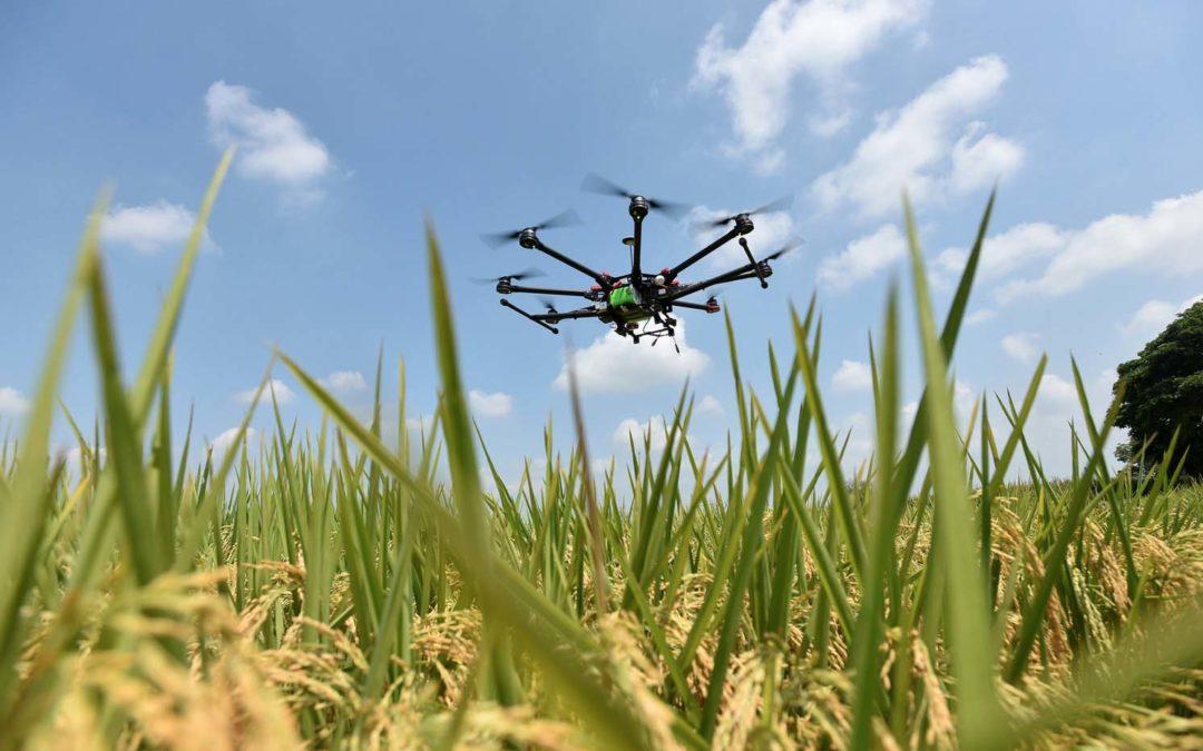 The disruption starts now: new big data program promises to shake up agriculture