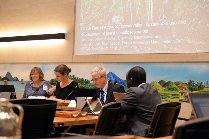 Global Plan of Action for Forest Genetic Resources highlighted in events at FAO