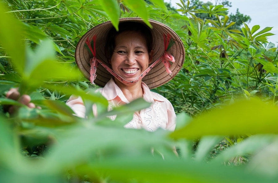 New Climate-Smart Village in Vietnam tackling climate change in agriculture