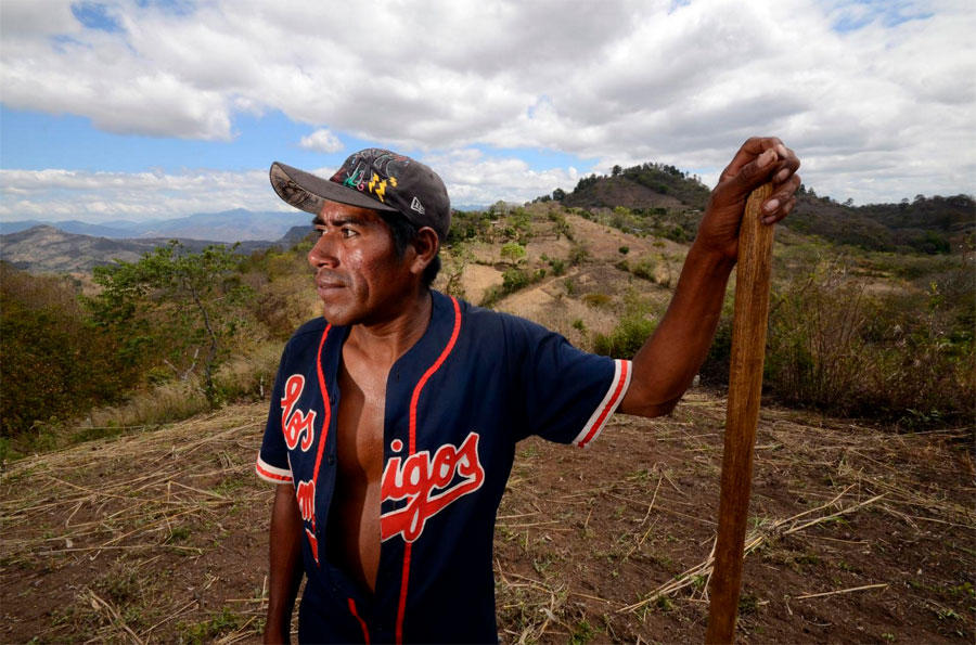 Climate change to strike at the heart of Central America's bean lands