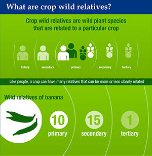 Crop wild relatives - a key asset for sustainable agriculture