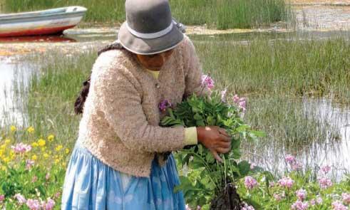 Bolivia leads the way in recognizing farmers as custodians of biodiversity