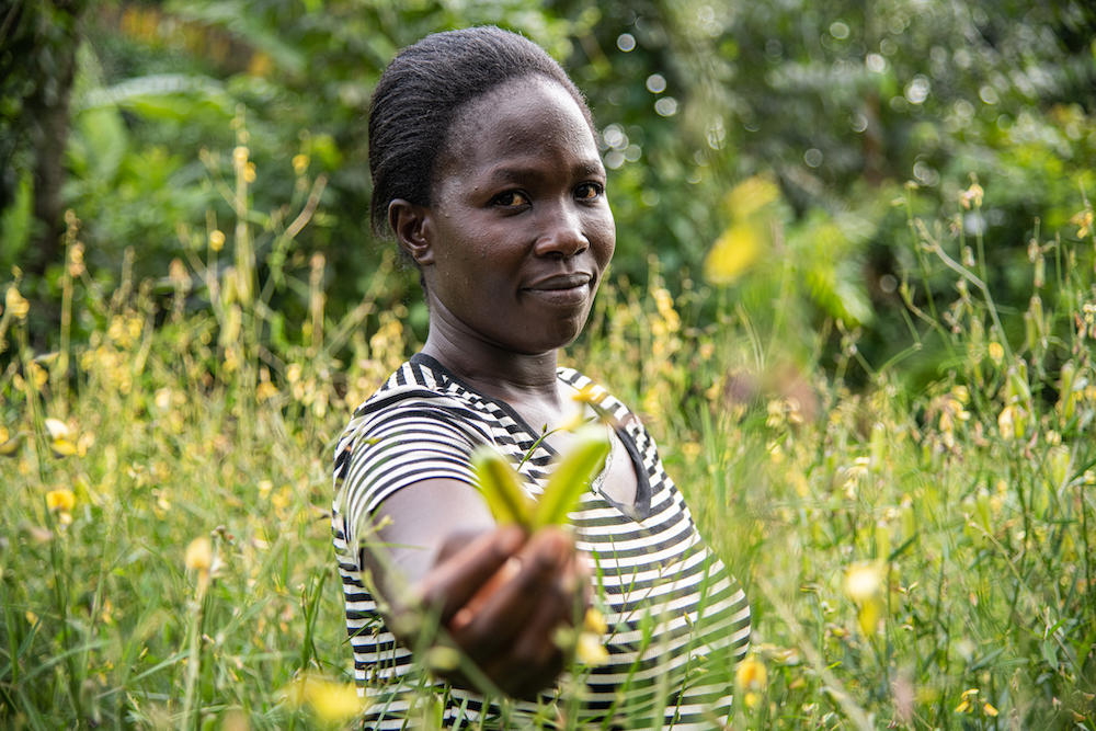 Diverse seeds shown by Pauline Odera, a farmer who also runs the seed bank at Vihiga set up together with the Alliance and partners. ©Alliance/Georgina Smith