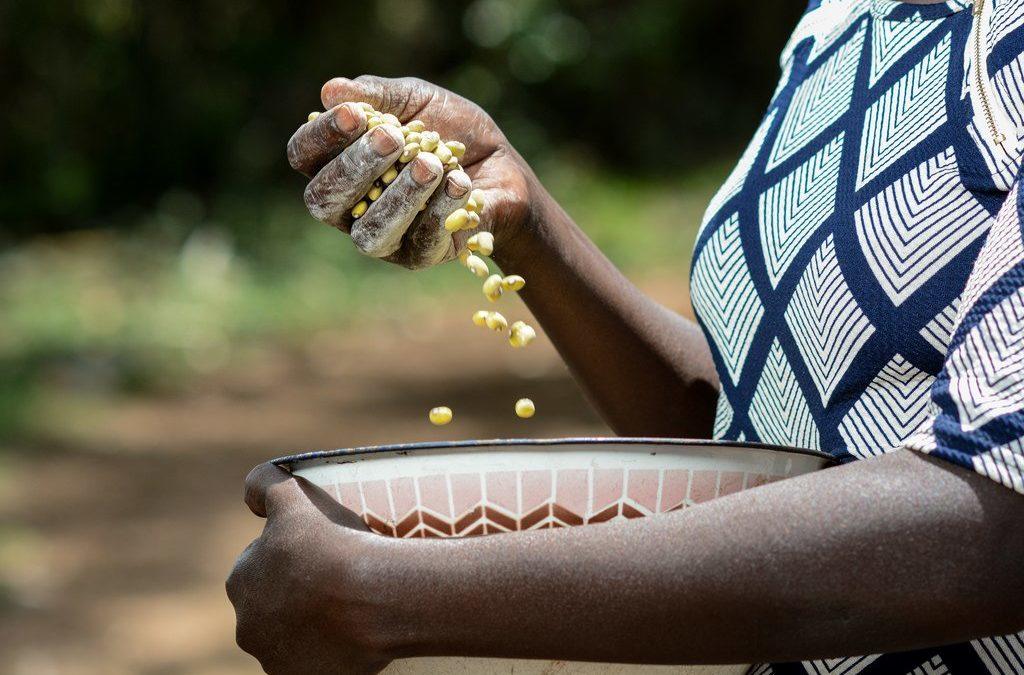 Solving hunger and malnutrition in Africa requires business, governments, social justice
