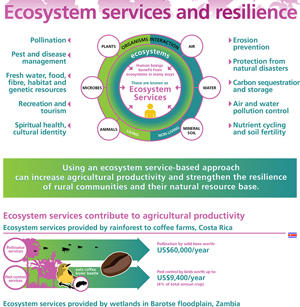 Ecosystem services and resilience