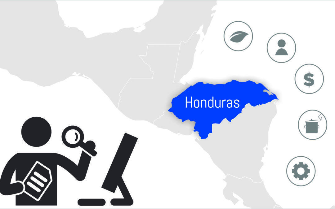 Honduras's Food System Profile - Call for visiting researcher 2020 -