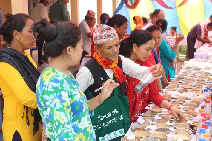 Nepali community seedbanks join forces to conserve agrobiodiversity