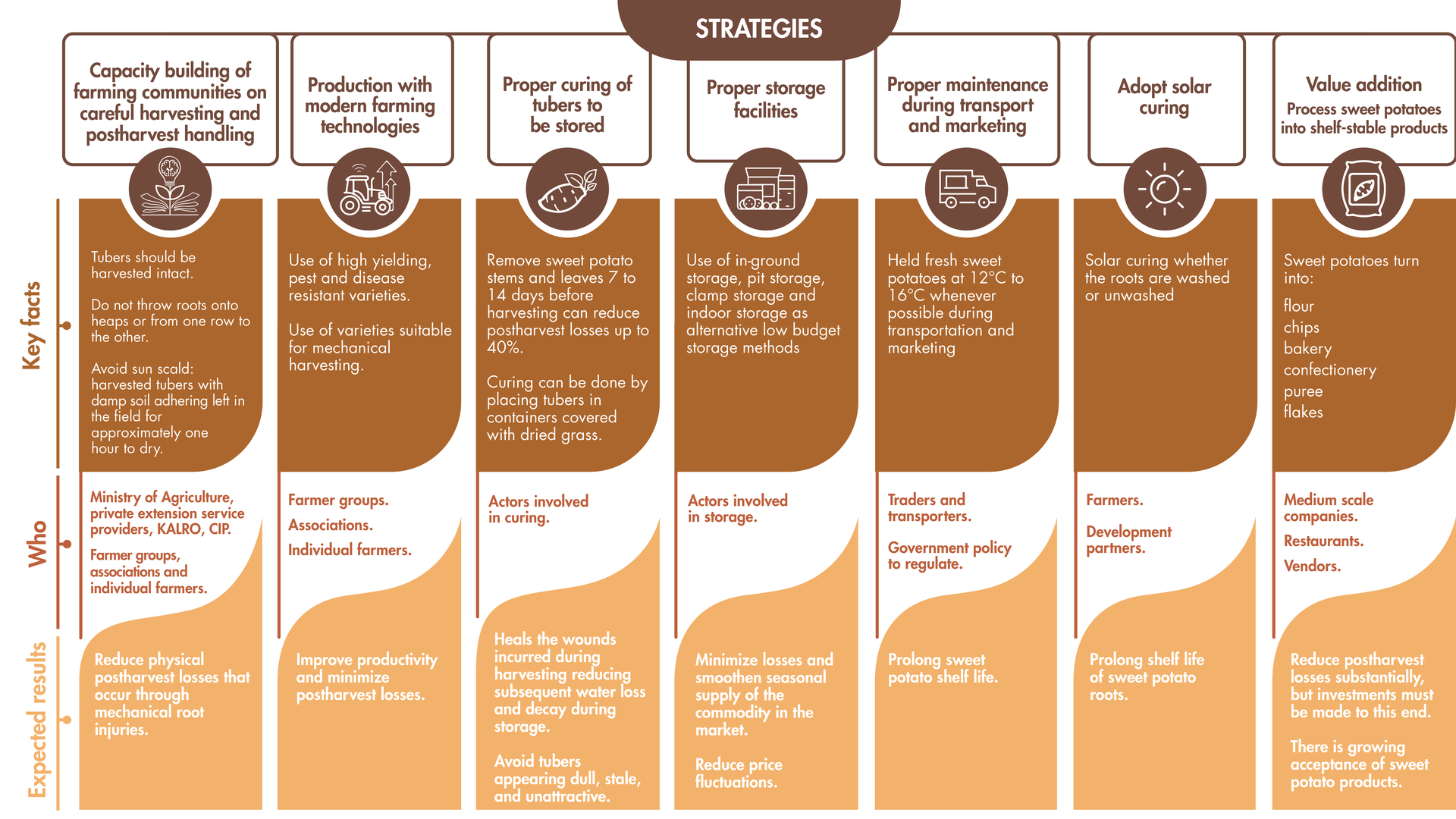 Figure 4. Strategies to reduce sweet potato postharvest losses. Kenya.
