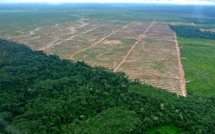 Post-COVID-19: we need a food systems approach to achieve zero-deforestation diets