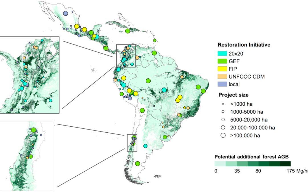 Restoring land in Latin America shows big potential for climate mitigation