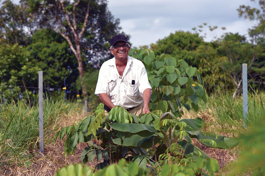 Sustainable land use systems: A way to help achieve Colombia’s climate change mitigation and peacebuilding goals